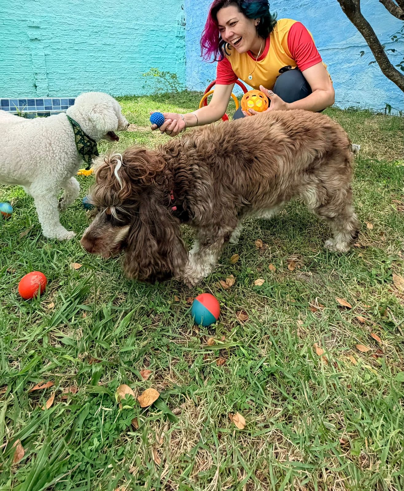 Pet 4