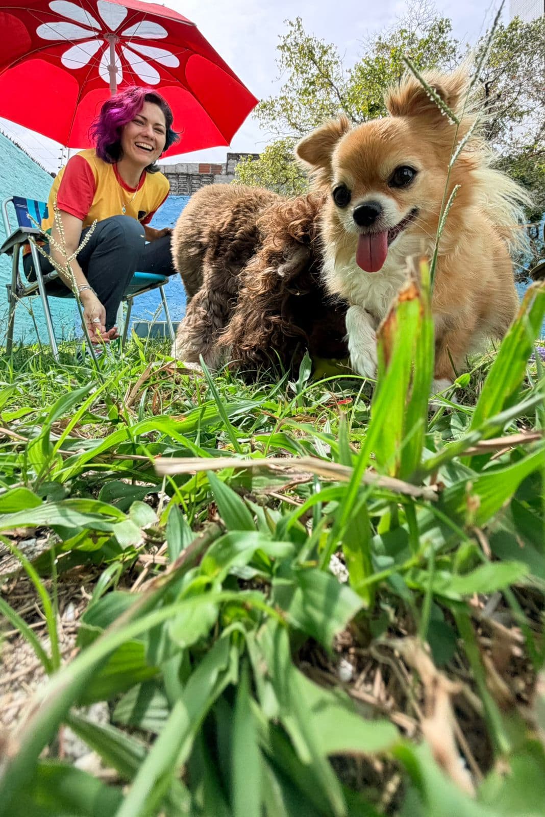 Pet 5