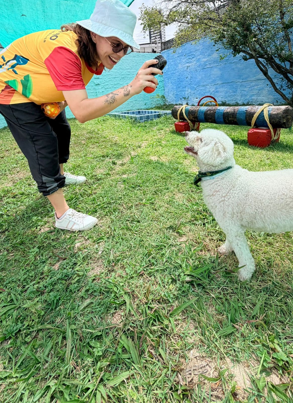 Pet 6